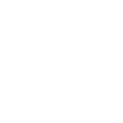 The Car Wash
